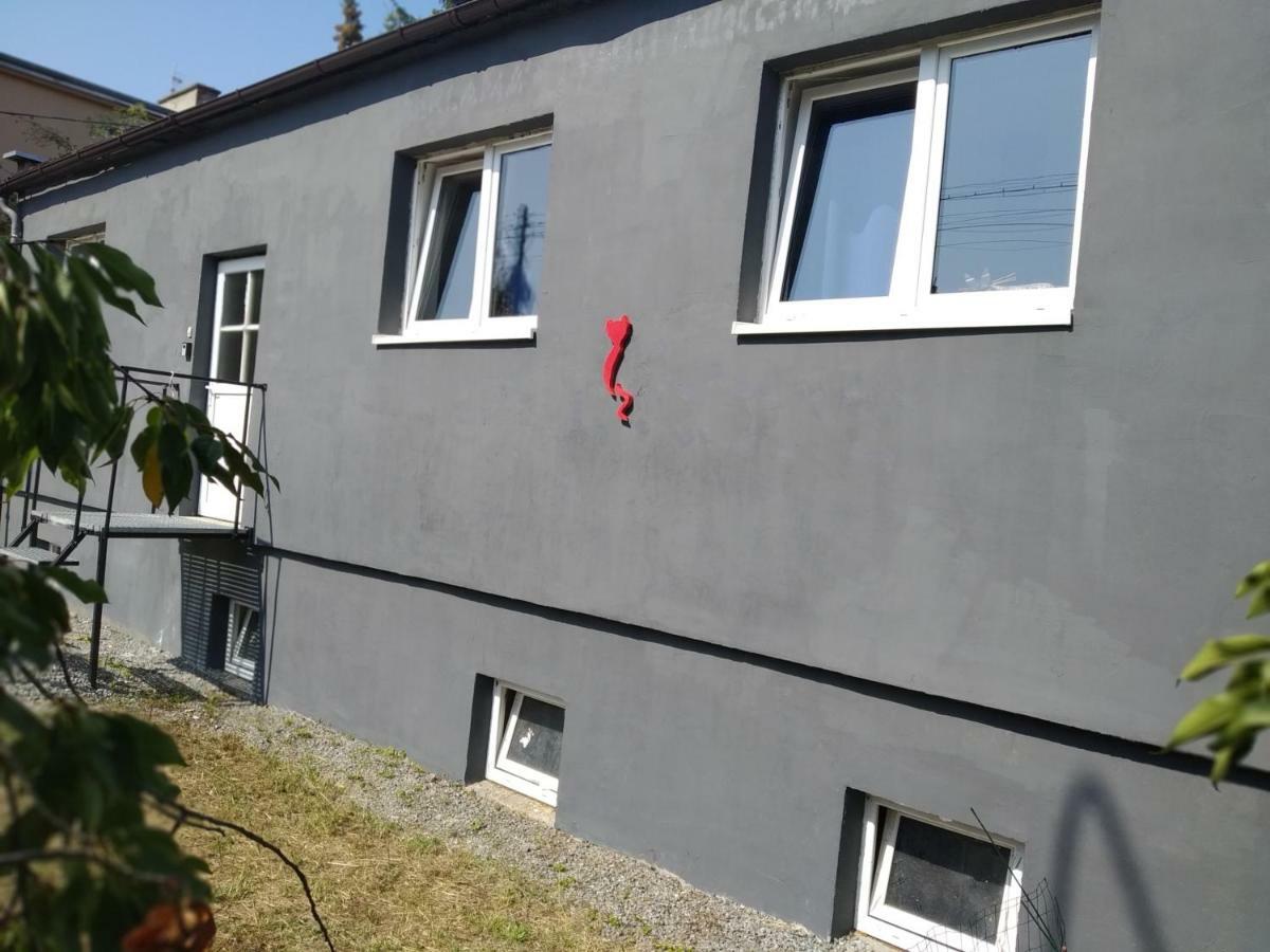 Studio Red Kot Zielona Góra Kültér fotó