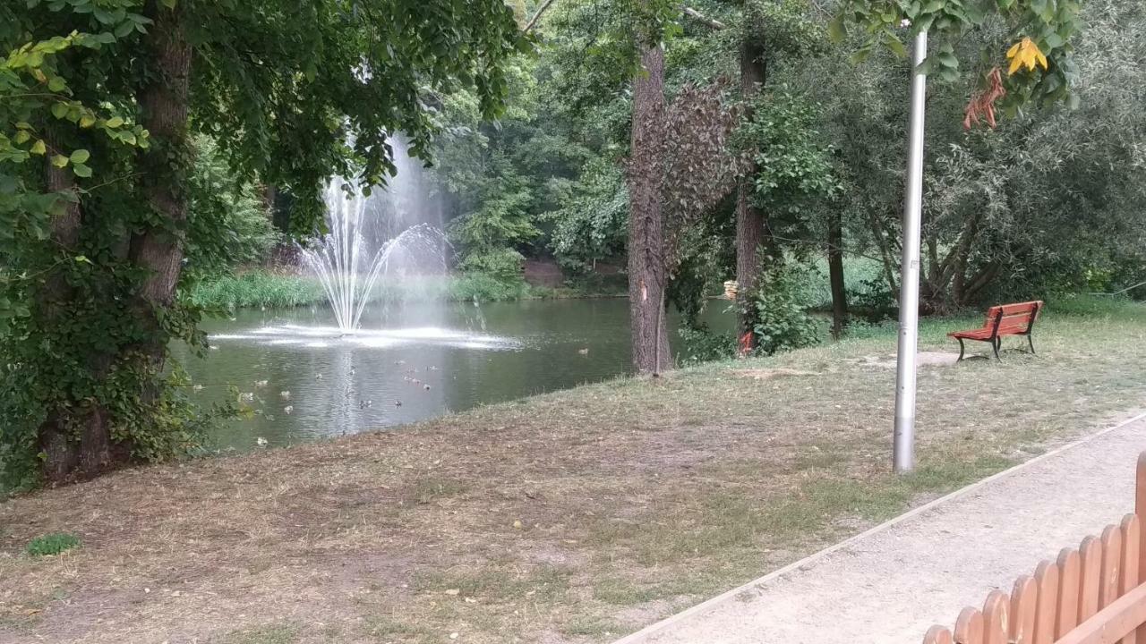 Studio Red Kot Zielona Góra Kültér fotó